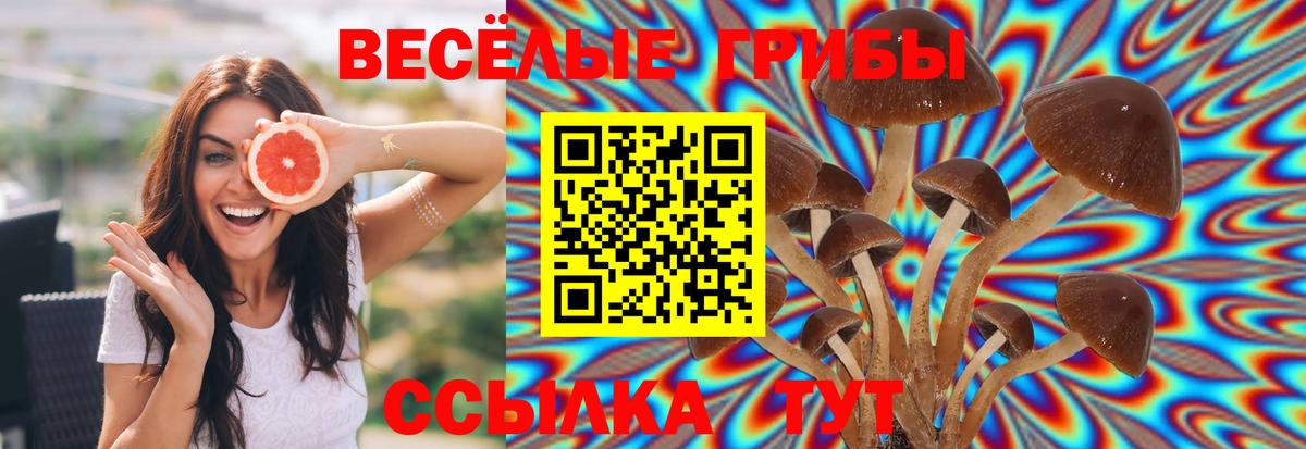 Галлюциногенные грибы MAGIC MUSHROOMS  Вход с VPN  Славгород 