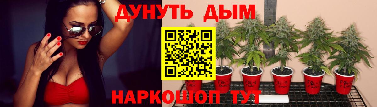 Славгород  МАРИХУАНА OG Kush  Вход с VPN  Канабис ГИДРОПОН  Бошки Шишки семена 